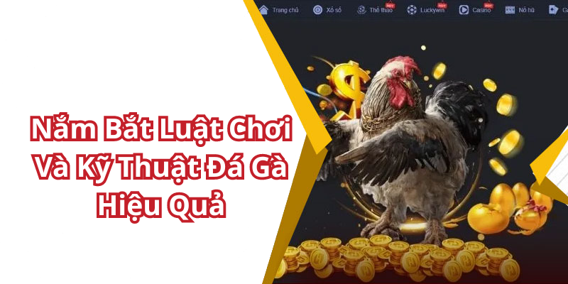 Nắm Bắt Luật Chơi Và Kỹ Thuật Đá Gà Hiệu Quả